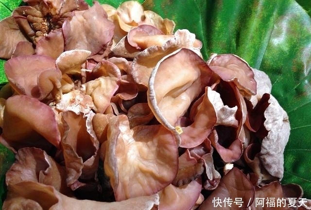 冬季|冬季每天吃20克黑木耳,会收获5个好处,但有1点别忽视