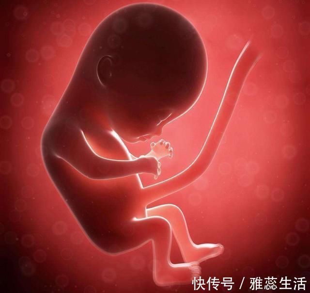 鱼肉|怀孕多吃鱼娃更聪明?三种鱼不建议孕妈吃,否则坑的是肚子里的娃