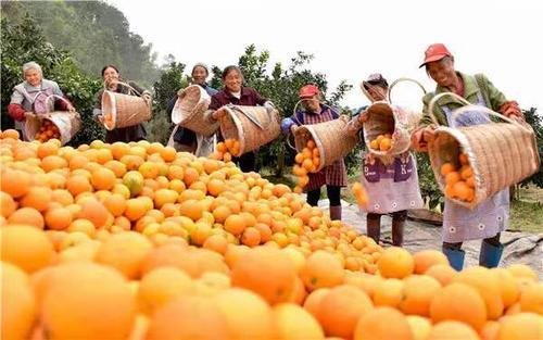 一家人来串门！“橙意邻水”邀你体验巴蜀风韵