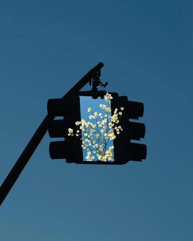 人品|哲思｜人生到最后，拼的都是人品