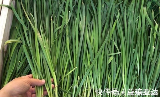 炒韭菜|买韭菜时,挑选宽叶还是窄叶的?菜农:别再挑错了,难吃还浪费钱