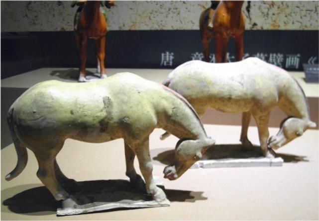 发现|考古挖掘不久即发现盗洞,被笑与盗墓走一条路,进入墓室后意外了