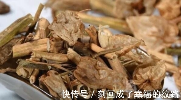 灯笼草|农村这种野草,是一种珍贵中草药,治疗痔疮效果很明显