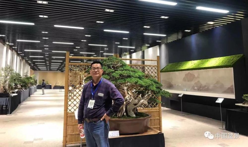 赏玩盆景，一定要是有德之人