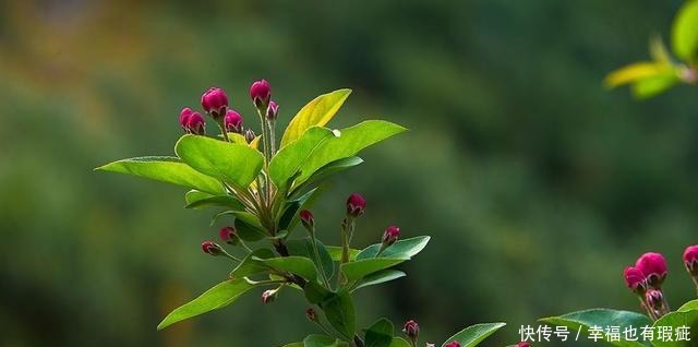  回到|元好问晚年回到故乡，写给儿孙一首诗，指出了人世间最好的教养