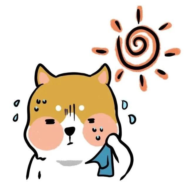 夏天|老一辈常说夏天拉拉肚子是正常的，真的避免不了吗？