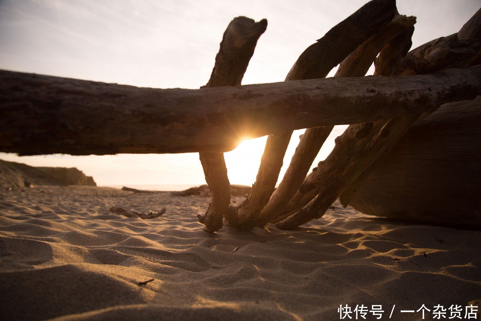  读书|一花一世界，一叶一菩提，在等待的日子里，刻苦读书，谦卑做人