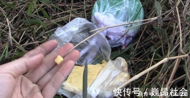 玉米这样用,让钓鱼效果翻倍,鲫鱼鲤鱼草鱼鳊鱼都爱吃,别错过