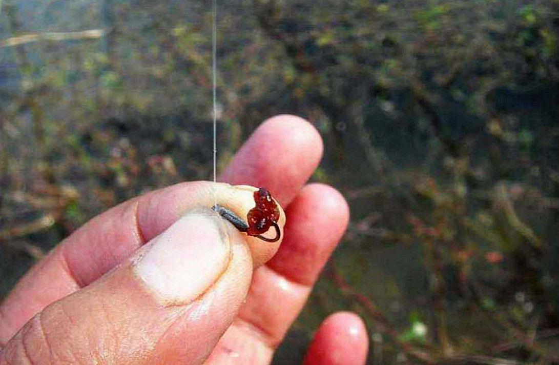 做好这几点,冬天夜钓,也能有好鱼获