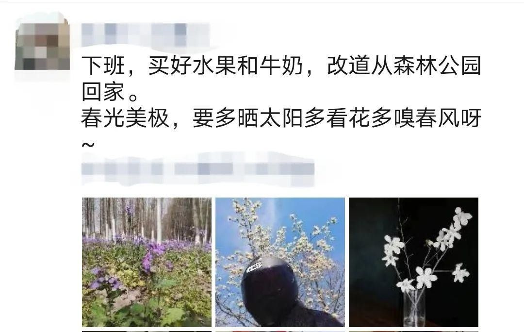 这么美！嘉兴这些地方可以看到……