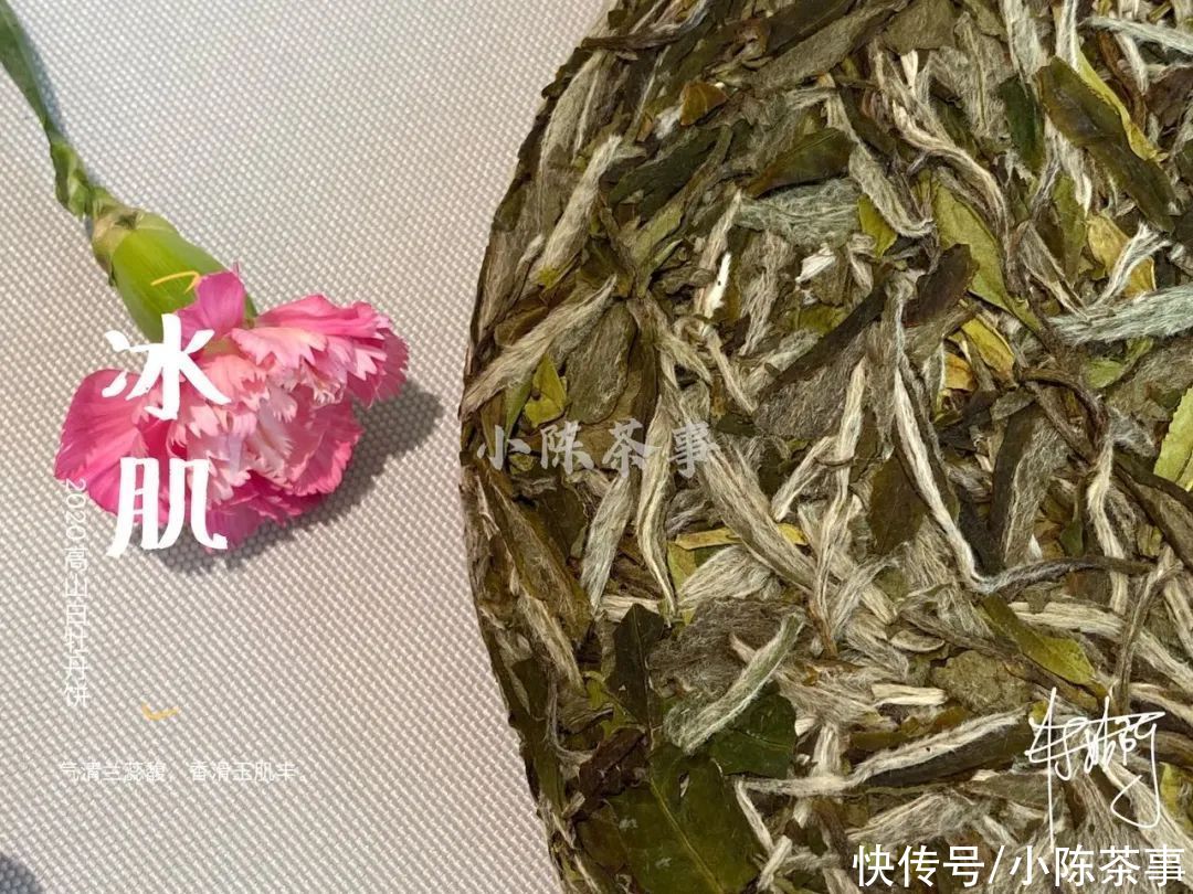 叶片|白牡丹和春寿眉散茶时还分得清，压饼后就混淆了？村姑陈教你3招
