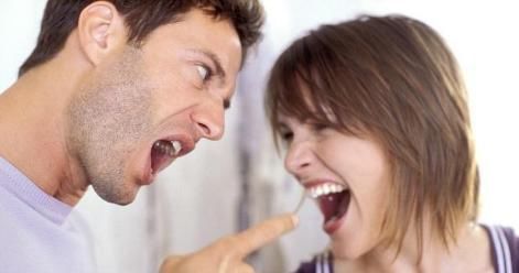 室内养殖花草，该注意哪些？挑选什么品种合适？