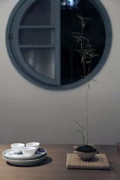 寒蝉|立秋之后,寒蝉鸣