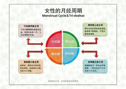 答疑|答疑解惑｜为什么排卵期想吃咸味食物？