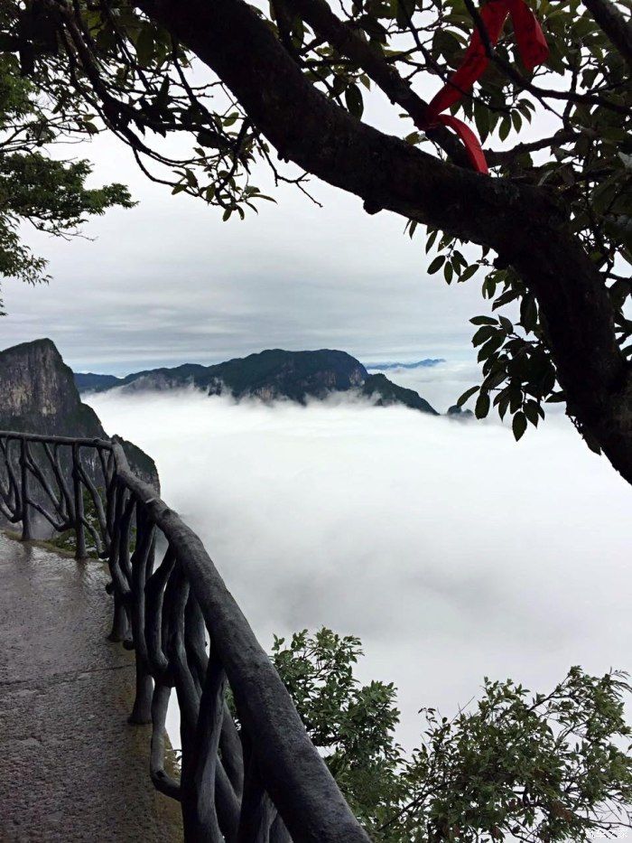 张家界|三上张家界，体验不一样的洞天福地。