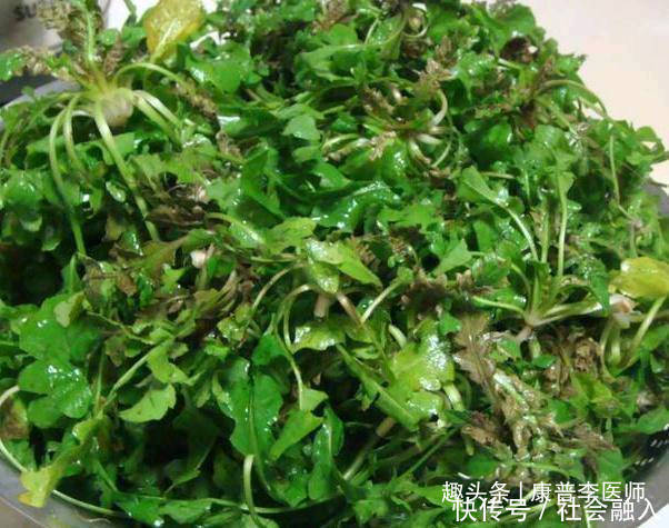 中年人想身体好,建议吃的食物,预防便秘,消肿止痛,谁吃谁好