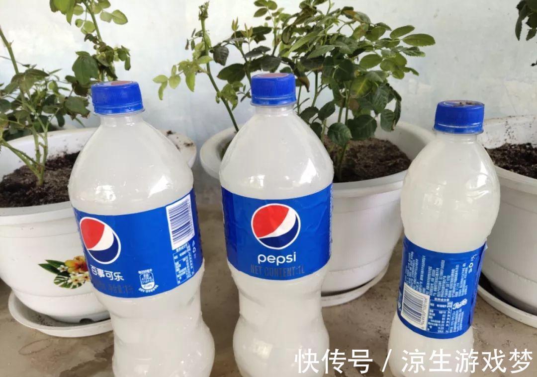 花盆里出现这东西,赶紧换土,不然一浇水就烂根