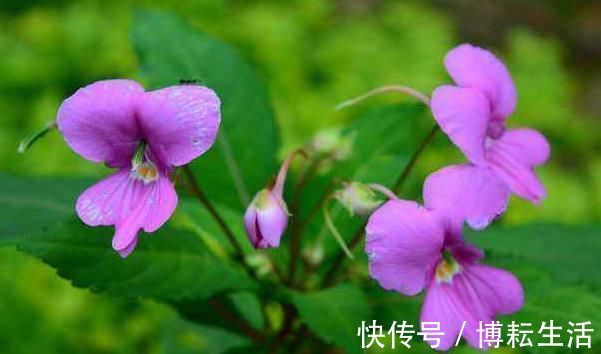 征兆|“人不成器，必有征兆”，人到40岁还喜欢做4件事，难有大出息