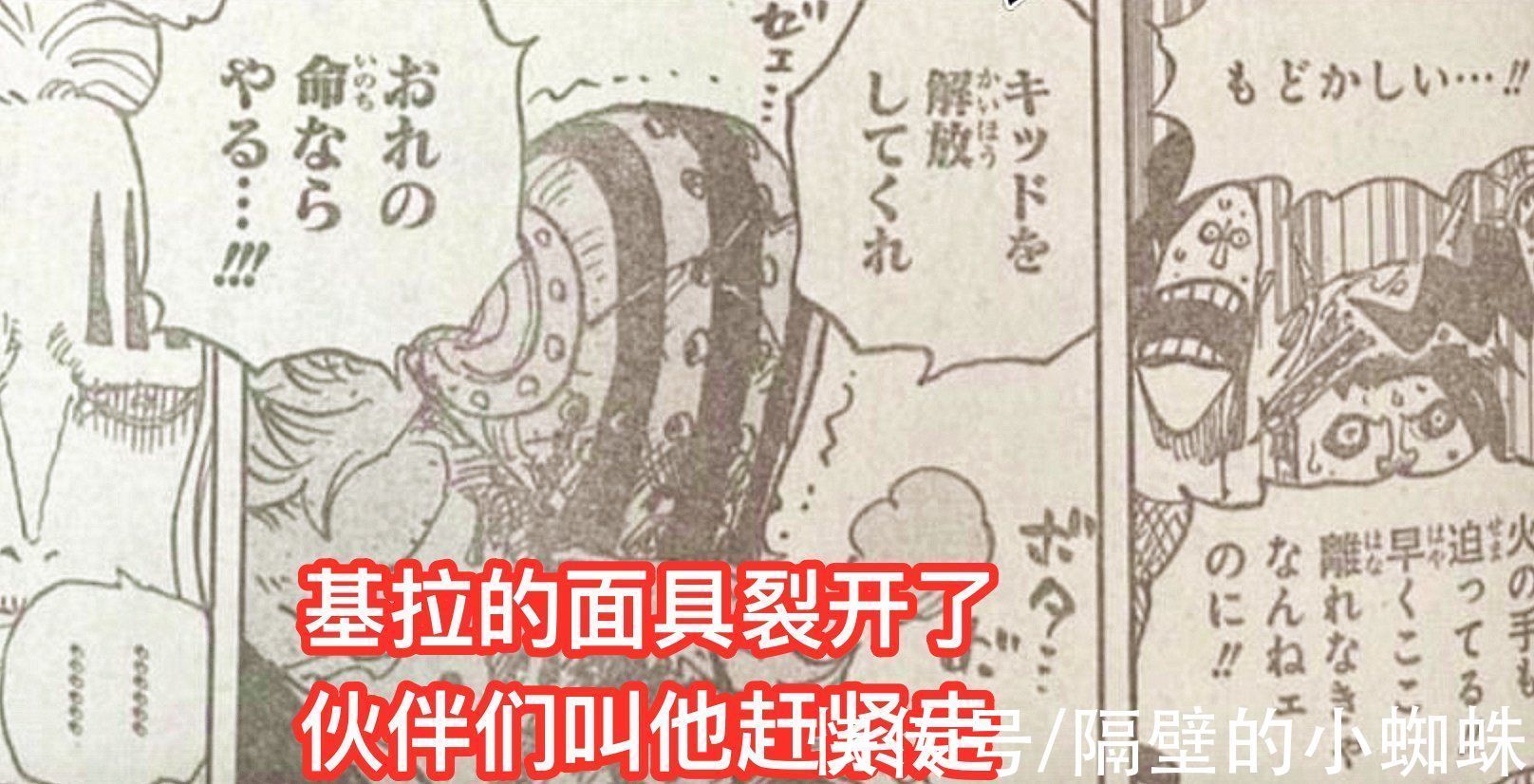 小蜘蛛|海贼王1029话图透,基拉求霍金斯放过基德,他可以用自己的命换