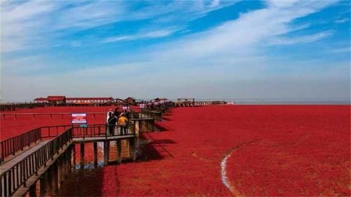 东北一红色“海洋”火了，耗资上亿元来维护，为何有人给了差评？