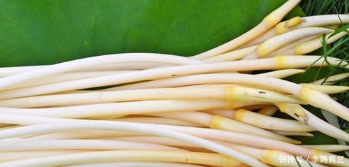 胆酸盐|女性抗衰先排毒,多吃以下食物,可有效滋润皮肤,有效美白护肤