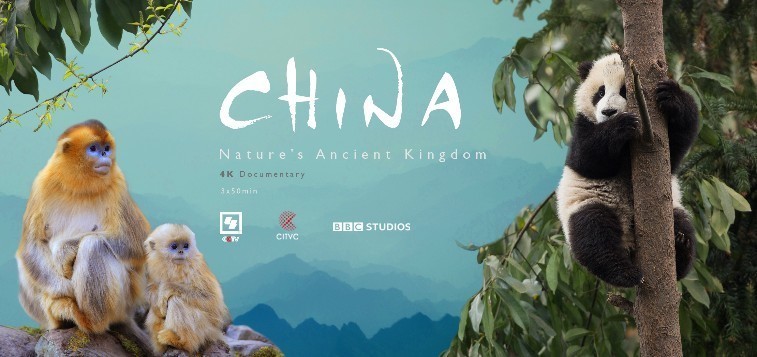 电视|精彩纷呈,丝绸之路电视共同体多个重点项目发布