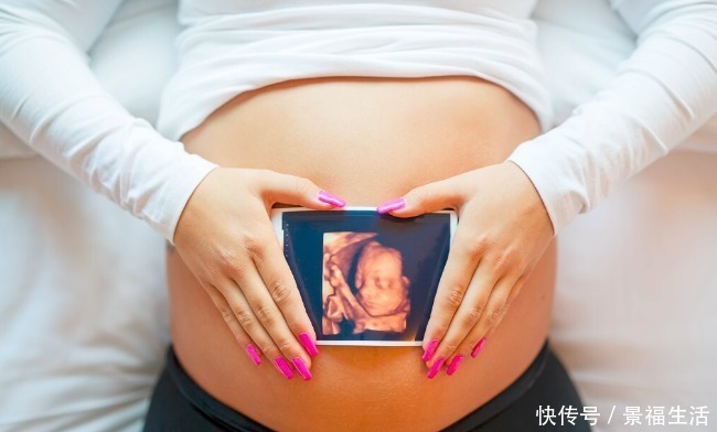 外生殖器|怀孕多久后，能知道胎儿的性别，不要太着急