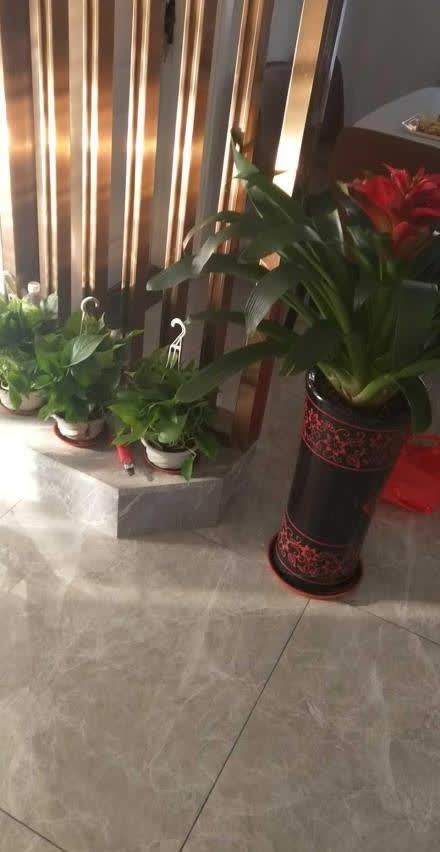 冤枉钱|130平装修费用高达36万，通风半年准备入住，感觉花太多冤枉钱了
