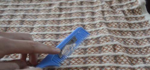 你家里有旧梳子吗?这个用途真厉害,要是早点知道就好了