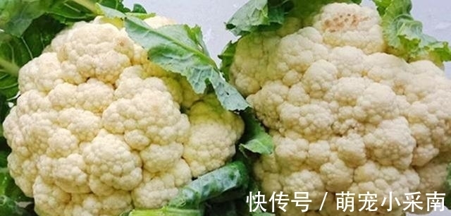 农药|花菜用清水洗是大错，等于吃虫卵，教你一妙招，农药虫卵全跑光
