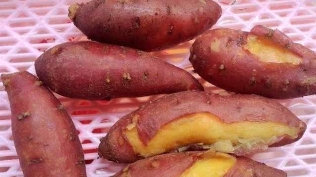 把地瓜|天冷了,遇到它别手软,一次买30斤,晒干了保存,还能当零食吃