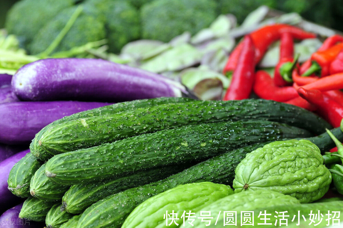 黄瓜|黄瓜打了激素如何辨别？老菜农：有这5点特征不要买，会吃坏肚子