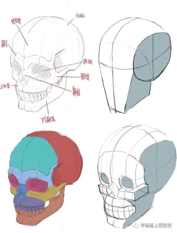  教程|人物头部绘法教程，练起来！