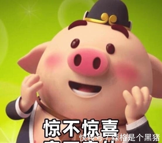 |笑话十则：你看看我，是不是也跟你形容的一样？我也是天鹅呗？