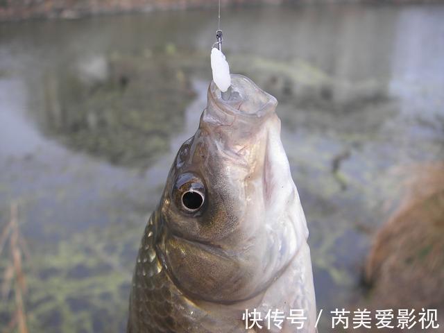 调钓到底准不准，不用看调几钓几，用这两招就能精准判断