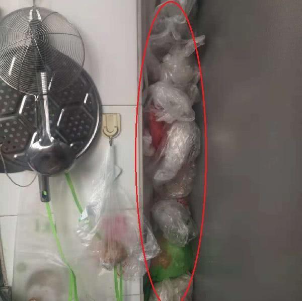 香港婆婆来家三天,冰箱塑料袋全不见了,干净又整洁,真太有才了