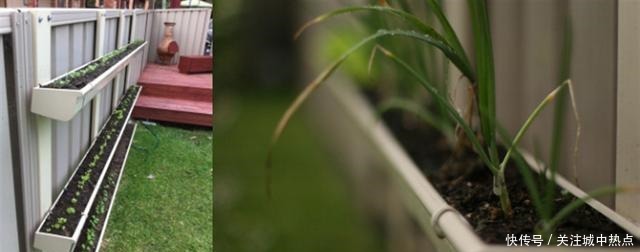 不在院子地上种菜,墙上面积这么大,上下3层种蔬菜再合适不过了!