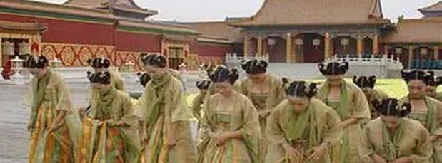 妻管严|司马懿是妻管严，孙子却妃子过万，不知该让谁侍寝，让山羊帮他选！