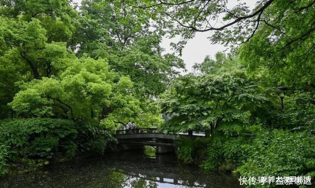 春意盎然|杭州雷峰塔边有个养生景点，杨柳吐翠，美景连片，一片春意盎然！