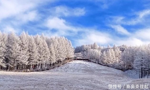 北国风光，雪域驼梁