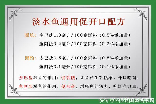 鱼口|夏天在高温天气钓鱼，饵料味型怎样调配夏天钓鱼饵料的调味技巧