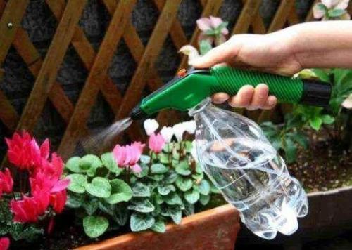 烂根|浇水前多做一件事,掌握盆土干湿程度,养花不烂根,个个猛开花!