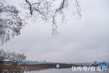 白雪|杭州西湖迎来新年初雪「组图」