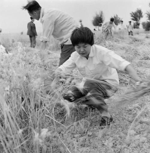 82岁樊锦诗自述：1963年，毛主席说“向雷锋同志学习”，我大学毕业奔赴敦煌