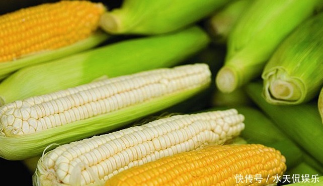 保存|保存玉米,不要直接冷冻!多做1步,放1年不坏,饱满多汁,还香甜