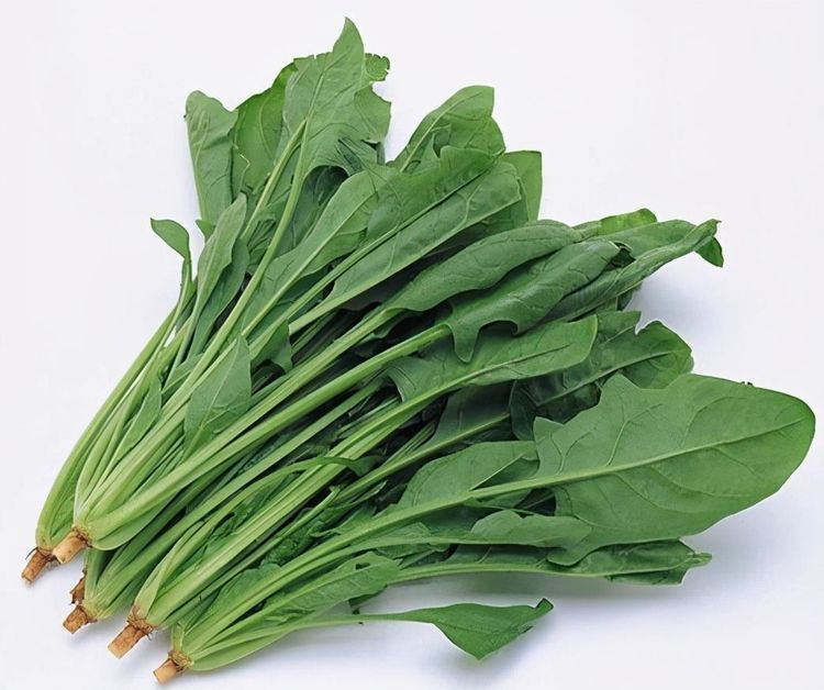 礦物質(zhì)|40歲女性多吃3種食物,美容養(yǎng)顏、延緩衰老,早吃早健康