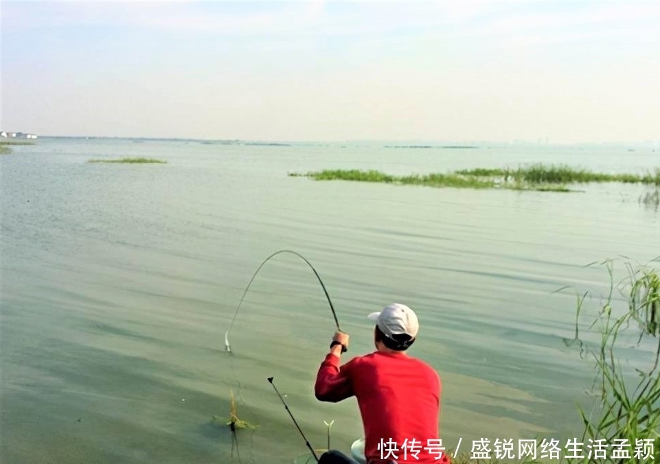 鲢鳙|钓鲢鳙用手竿拉鱼才带劲,这几点做好,不是你拉鱼,就是鱼拉你