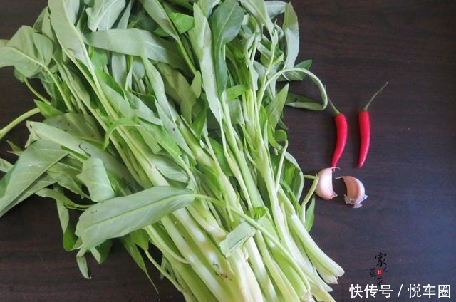 它是刮油王,每天炒一盘,肠道不堵了,排完宿便,越吃越瘦!