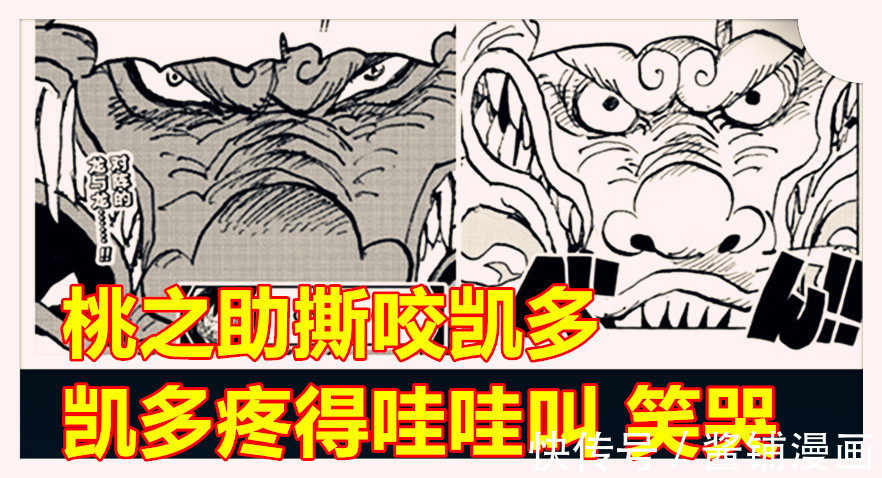 海贼王|海贼王1026话,桃之助撕咬并且让凯多疼得哇哇叫,杰克与长子败北