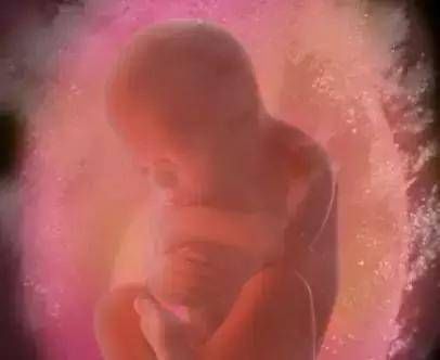 子宫|怀孕10月280天,胎宝宝都是怎样打发时间的他们在子宫里嗨着呢